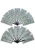 $100 Dollar Bill Fan