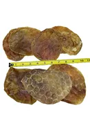 Beef Bladder Pucks