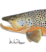"Monster Brown" - giclee watercolor print by Mike Pepper — Saddletree Gallery & Framing