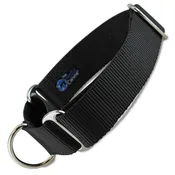 1.5" Wide Martingale Collar, Black Nylon