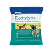 Electrolytes Plus™ Supplement
