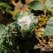 Handcrafted Botanical Pillar Candle with Dried Hydrangea
