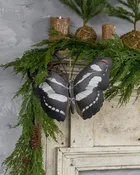 12" BLACK & WHITE BUTTERFLY