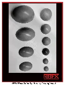 BTEF Black-Tinted Eye Forms – PETG