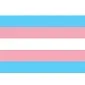 2"x3" Transgender Pride Sticker
