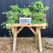 Redwood Side Table