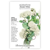 Ageratum 'Dondo White'