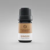 Ginger oil [5ml]