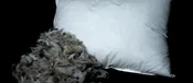 25/75 Pillow Insert