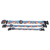 Colorado Snowboarding Dog Collar