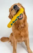 Ultimate Chew-Proof Dog Toy for Medium to Large Dogs - Durable & Fun — Goughnuts