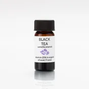 Black Tea Absolute