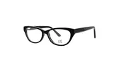 3091 — New Millennium Eyewear