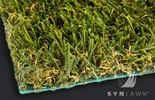 RV Turf