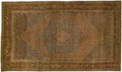 1900s Antique Bidjar Wool Rug 15 x 25
