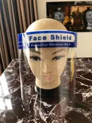 Adult Face Shield (10pc)
