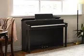 Casio AP-550