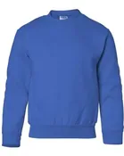 Custom SweatShirt