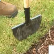 Needs Edging $40/hr