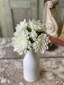 10" Chrysanthemum Bundle, Cream