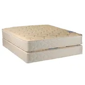 Chiro Premier Orthopedic (Beige Color)