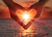 The LOVE Plan — Conscious Choices