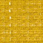 Aster Lemon