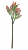 15" Succulent Stem Red Tip