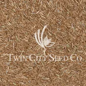 50/50 Athletic Seed Mixture
