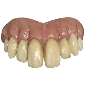 Bitemares Horror Teeth - Goofy Teeth