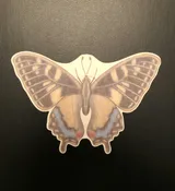 Beautiful Butterfly Design Silly Patch