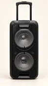 Royal Audio RA2210 Dual 10-Inch Bluetooth Party Speaker