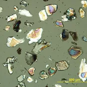 Cargille Mineral Reference Sets-Commercial Minerals