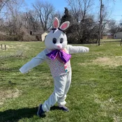 Floppy II Bunny