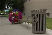 Magnolia Planter Box