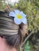 Foam Plumeria Hair Clip