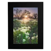 13x19 Spring Dawn