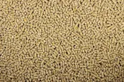 22% Pigeon Pellets (Leach Grain & Milling) High Protein Premium Pigeon Pellet Food