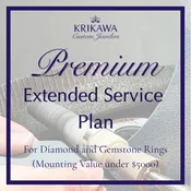 $450 Premium Extended Service Plan