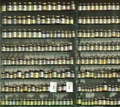 Vitamins: Understanding What you Need and How to Get Them In!