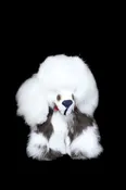 Alpaca Dog