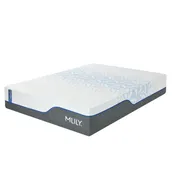 ChiroPro Firmer 1.0 Mattress