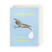 Baby Boy Enclosure Card