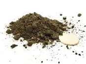 Compost