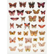 Butterfly Dawn by Dolan Geiman — Saddletree Gallery & Framing