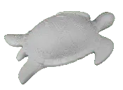 Large Contemporary Sea Turtle