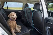 K9 Mesh Universal Car Front Seat Dog Barrier