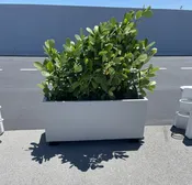 “4′ Modern Rectangular Planter”