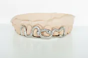 Double Snake Grillz Top 6 DQ1027