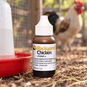 Backyard Chicken Zyfend A